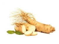 Ginseng