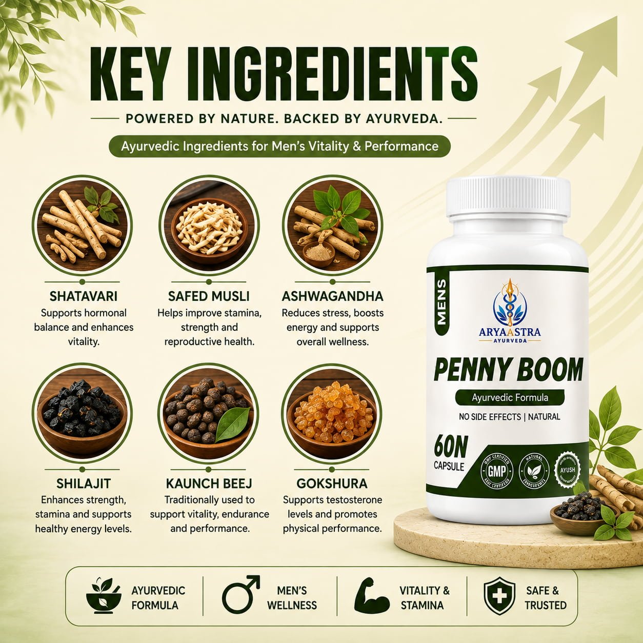 Penny Boom Ayurvedic Men's Health Supplement – Energy, Stamina & Vitality | 60 Capsules 3 Penny Boom Ayurvedic Men's Health Supplement – Energy, Stamina & Vitality | 60 Capsules - Image 3