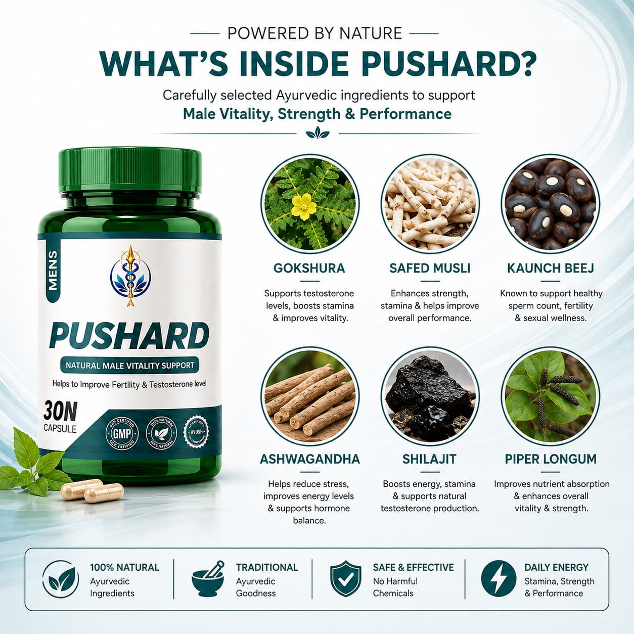 Pushard Ayurvedic Supplement for Men – Natural Male Vitality, Fertility & Testosterone Support 3 Pushard Ayurvedic Supplement for Men – Natural Male Vitality, Fertility & Testosterone Support - Image 3