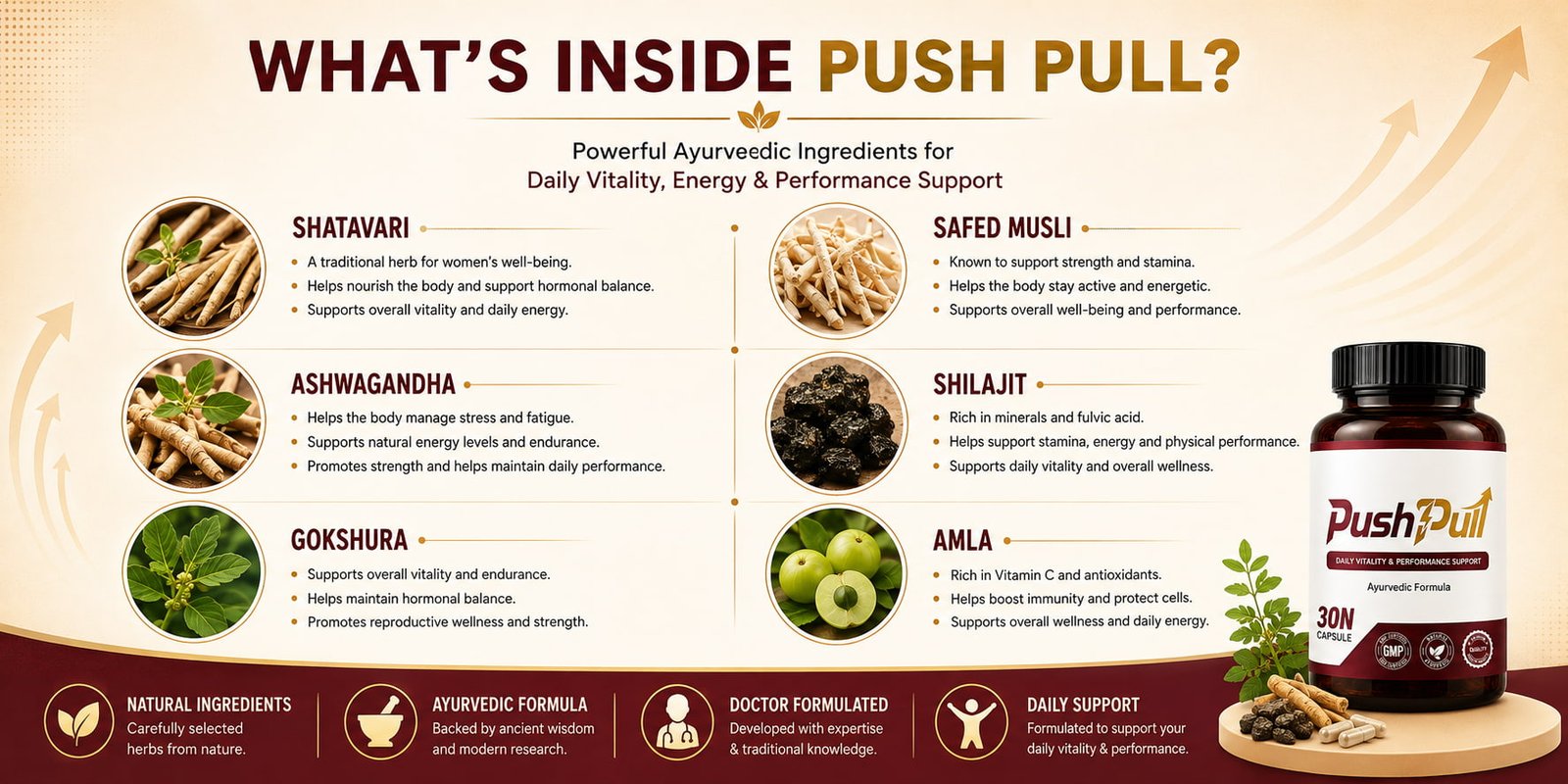 PushPull Ayurvedic Supplement for Women – Daily Vitality & Performance Support 6 What's inside Push Pull - Shatavari, Safed Musli, Ashwagandha, Shilajit, Gokshura, Amla